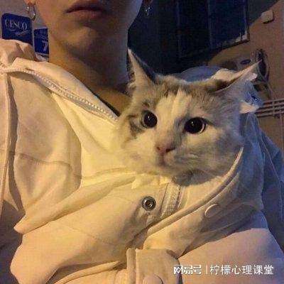 创造与魔法手游tt版下载
