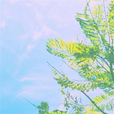阿优大冒险游戏破解版下载